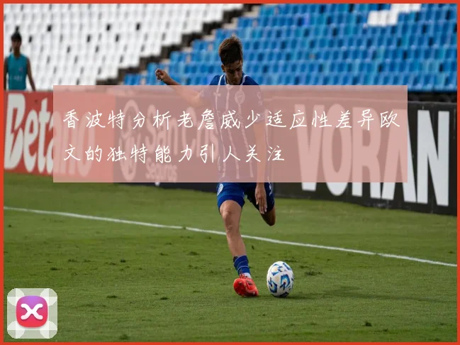 香波特分析老詹威少适应性差异欧文的独特能力引人关注